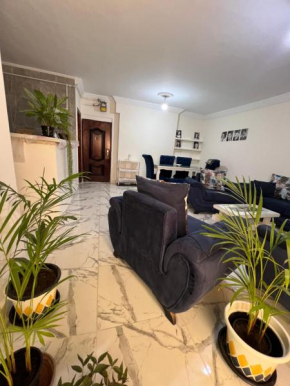 Nice Apartment next to the Sea in Miami Alexandria